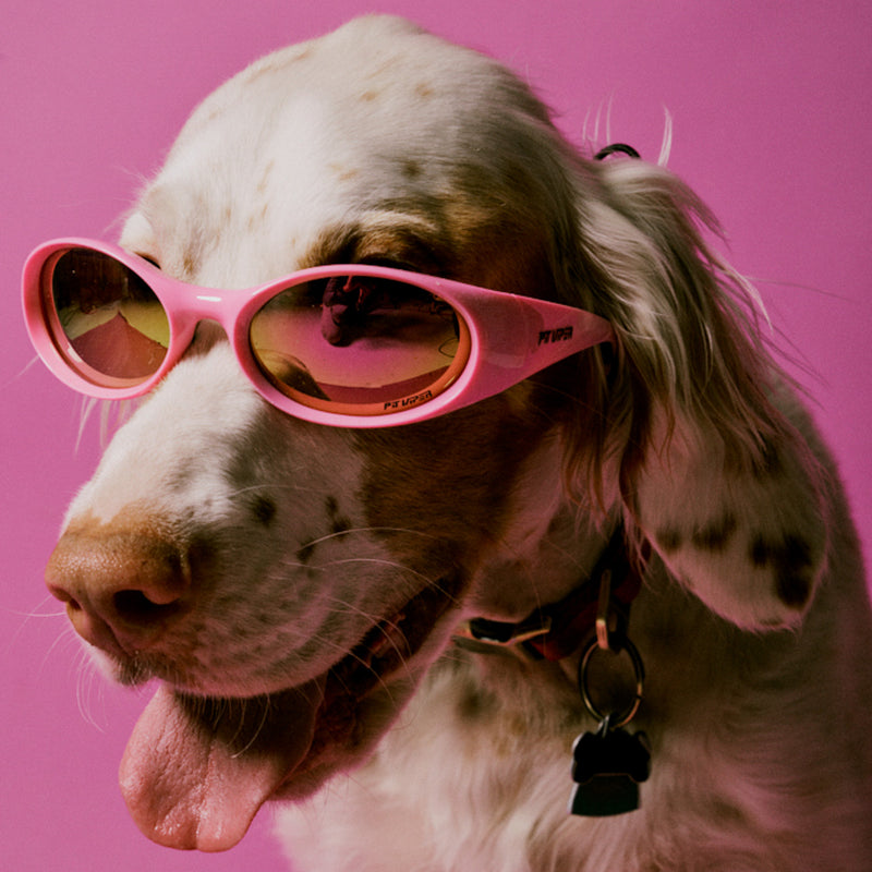 / Z87+ HDPV Polarized Pink | photo_of_dog.JPG | Person wearing The Juicy Slammer with Z87+ HDPV Polarized Pink lens